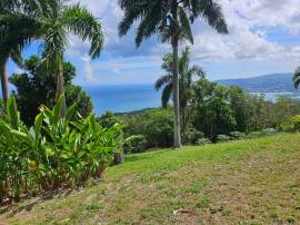 Resort Apartment/Villa for Sale St. James, Montego