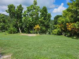 Resort Apartment/Villa for Sale St. James, Montego