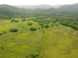 Development Land (Residential) for Sale St. James,