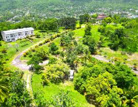 Commercial Bldg/Offices for Sale St. James, Monteg