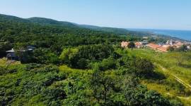 Development Land (Residential) for Sale Trelawny, 