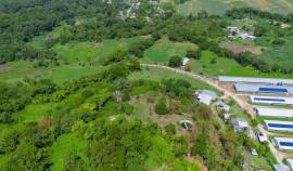 Farm/Agriculture for Sale St. Catherine, Linstead