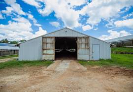 Farm/Agriculture for Sale St. Catherine, Linstead