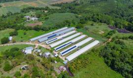 Farm/Agriculture for Sale St. Catherine, Linstead