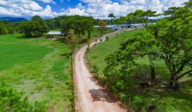 Farm/Agriculture for Sale St. Catherine, Linstead