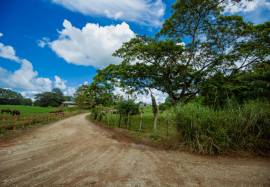 Farm/Agriculture for Sale St. Catherine, Linstead