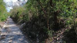 Development Land (Residential) for Sale St. James,