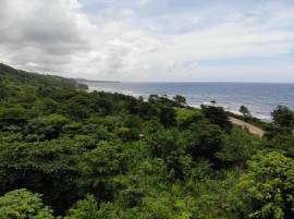 Development Land (Residential) for Sale Portland, 
