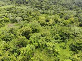 Development Land (Residential) for Sale Portland, 