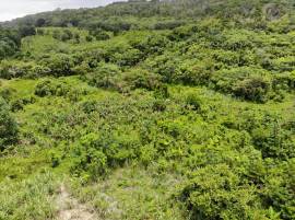 Development Land (Residential) for Sale Portland, 