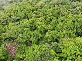 Development Land (Residential) for Sale Portland, 