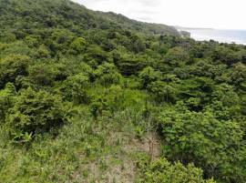 Development Land (Residential) for Sale Portland, 