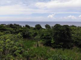 Development Land (Residential) for Sale Portland, 
