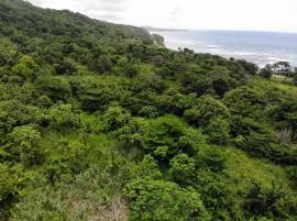 Development Land (Residential) for Sale Portland, 