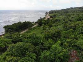 Development Land (Residential) for Sale Portland, 