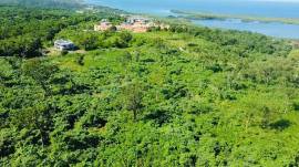 Development Land (Residential) for Sale Trelawny, 
