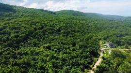 Development Land (Residential) for Sale Trelawny, 