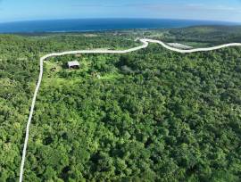 Development Land (Residential) for Sale Trelawny, 