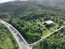 Development Land (Residential) for Sale Trelawny, 