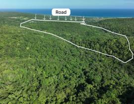 Development Land (Residential) for Sale Trelawny, 