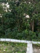 Development Land (Residential) for Sale St. Ann, T