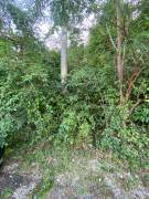 Development Land (Residential) for Sale St. Ann, T