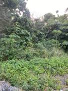 Development Land (Residential) for Sale St. Ann, T