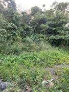 Development Land (Residential) for Sale St. Ann, T