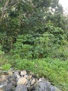 Development Land (Residential) for Sale St. Ann, T