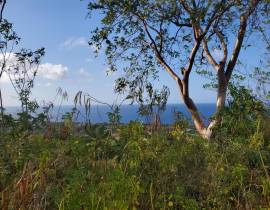 Development Land (Residential) for Sale St. Mary, 