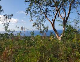 Development Land (Residential) for Sale St. Mary, 