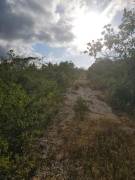 Development Land (Residential) for Sale St. Mary, 