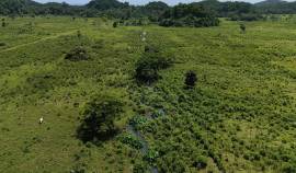 Development Land (Residential) for Sale Westmorela