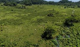 Development Land (Residential) for Sale Westmorela