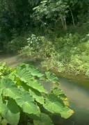 Development Land (Residential) for Sale Westmorela