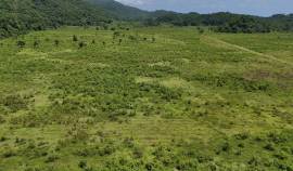 Development Land (Residential) for Sale Westmorela