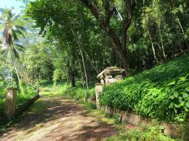 Development Land (Residential) for Sale St. James,