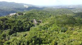 Development Land (Residential) for Sale St. James,