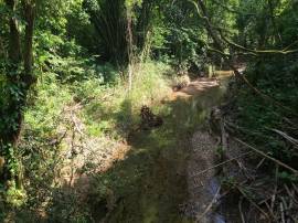 Development Land (Residential) for Sale St. James,