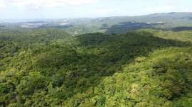 Development Land (Residential) for Sale St. James,