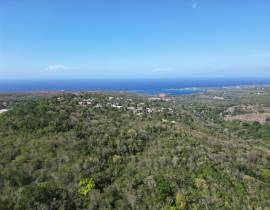 Development Land (Residential) for Sale St. Ann, D