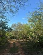 Development Land (Residential) for Sale St. Ann, D