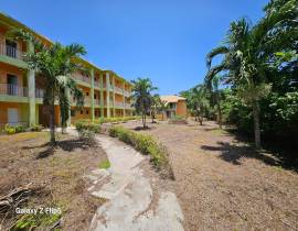 Resort Apartment/Villa for Sale Westmoreland, Negr