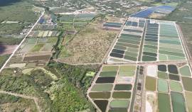 Development Land (Residential) for Sale St. Cather