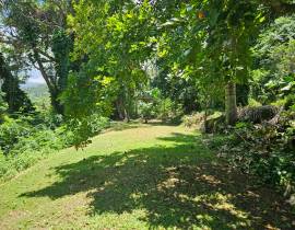 House for Sale St. Mary, Annotto Bay