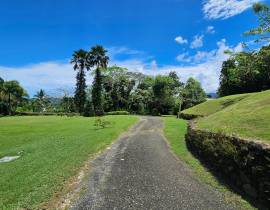House for Sale St. Mary, Annotto Bay