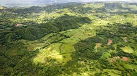 Farm/Agriculture for Sale Westmoreland, Enfield