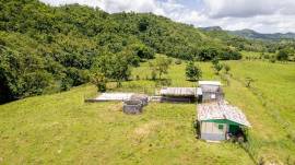 Farm/Agriculture for Sale Westmoreland, Enfield