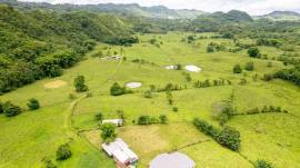 Farm/Agriculture for Sale Westmoreland, Enfield