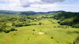 Farm/Agriculture for Sale Westmoreland, Enfield